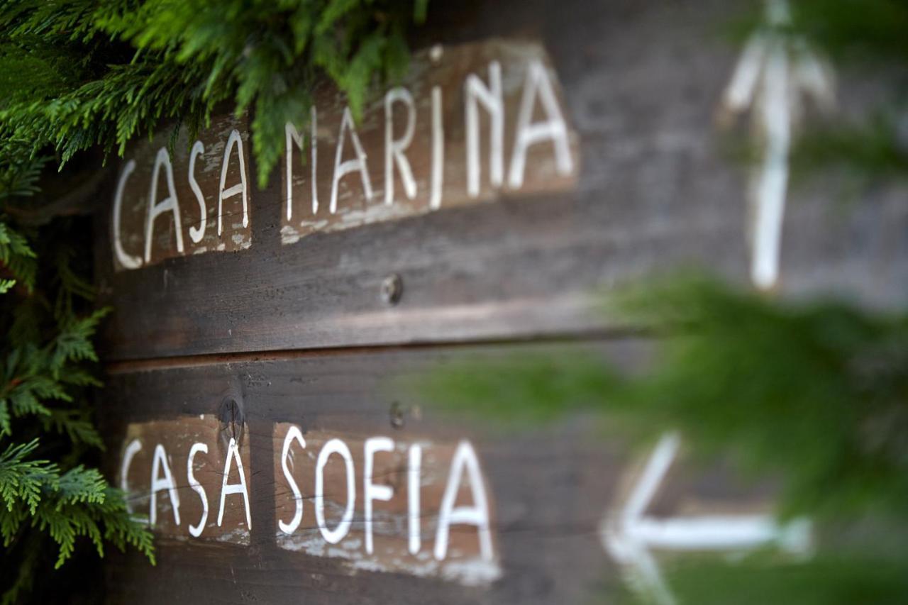 Agriturismo Da Rosy Codevigo Exterior foto